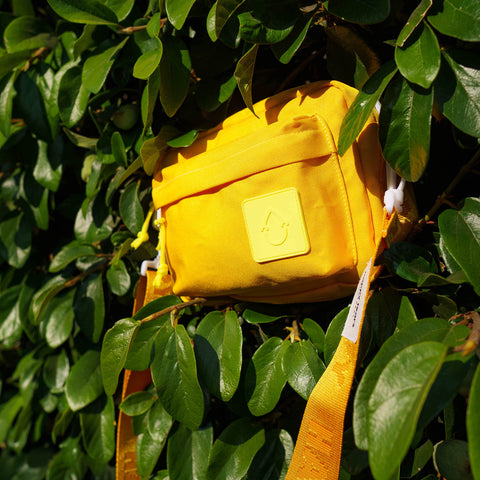 wander(bag) _ flow